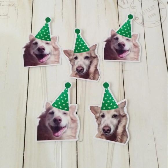 Topper para Docinhos Cachorro com Foto e Chapeuzinho Verde