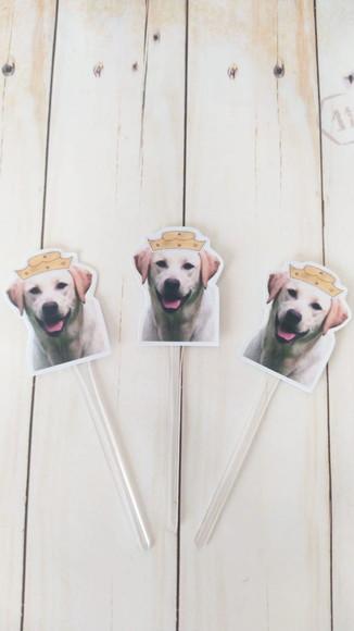 Topper para Docinhos Cachorro com Foto e Chapéu Fazenda 20un