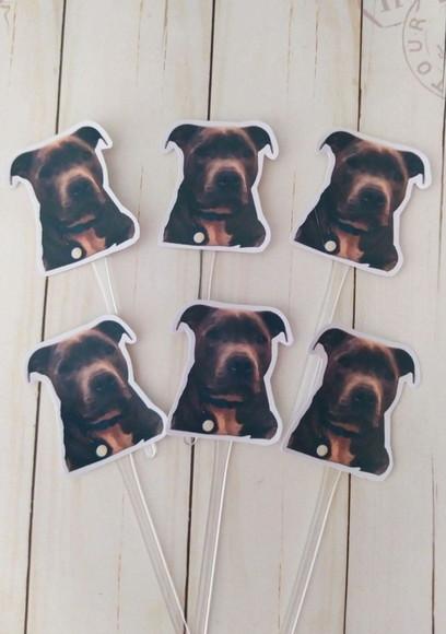 Topper para Docinhos Pet Cachorro com Foto