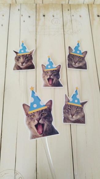 Topper para Docinhos Pet Gato Bento com Foto 30 Unid