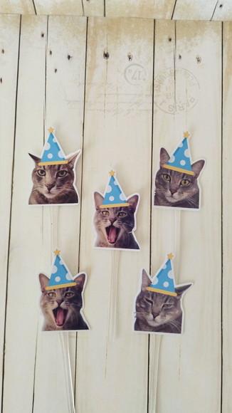 Topper para Docinhos Pet Gato Bento com Foto 30 Unid