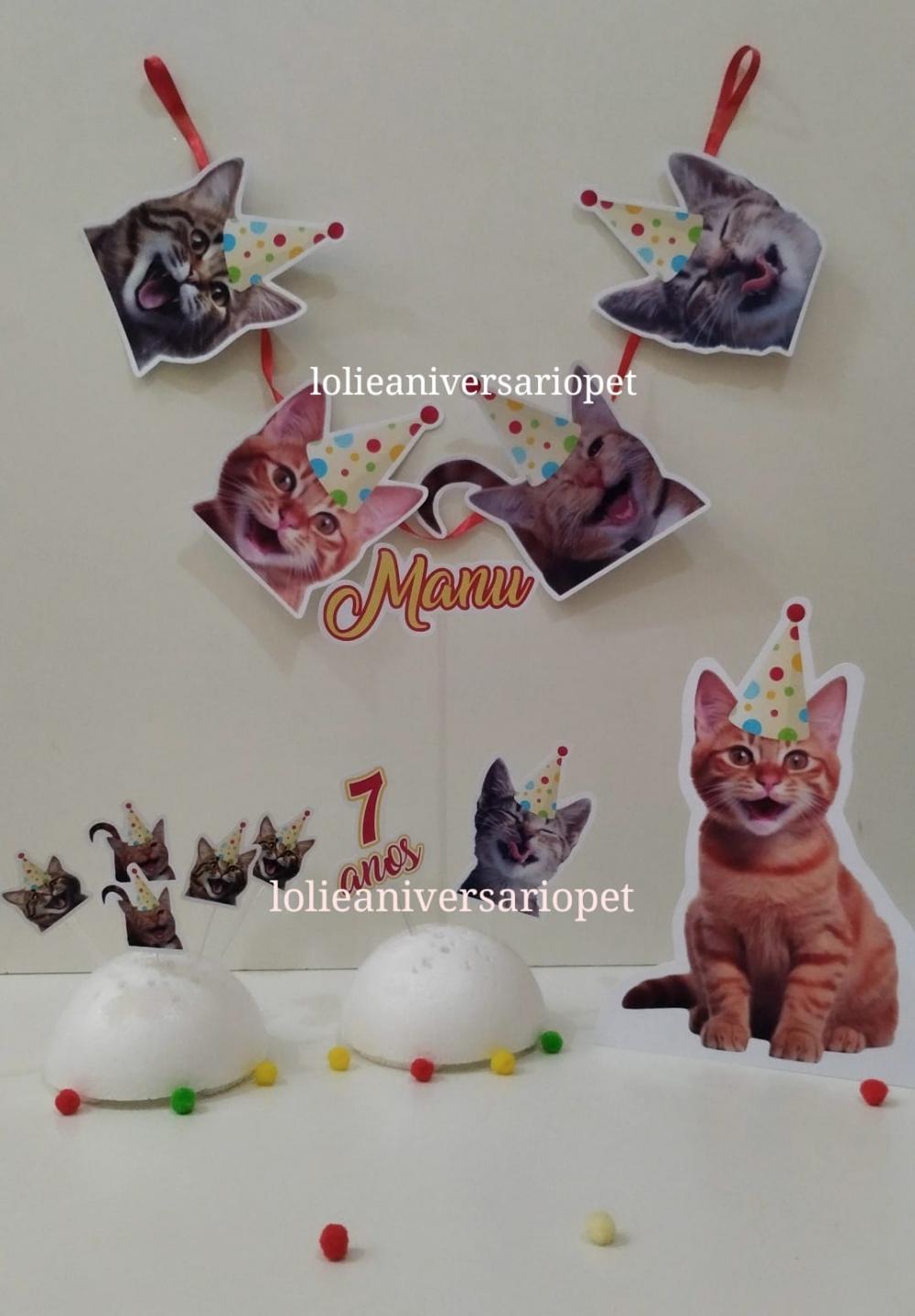 Kit Bandeirola com Foto, Topper e Display com Foto Gato