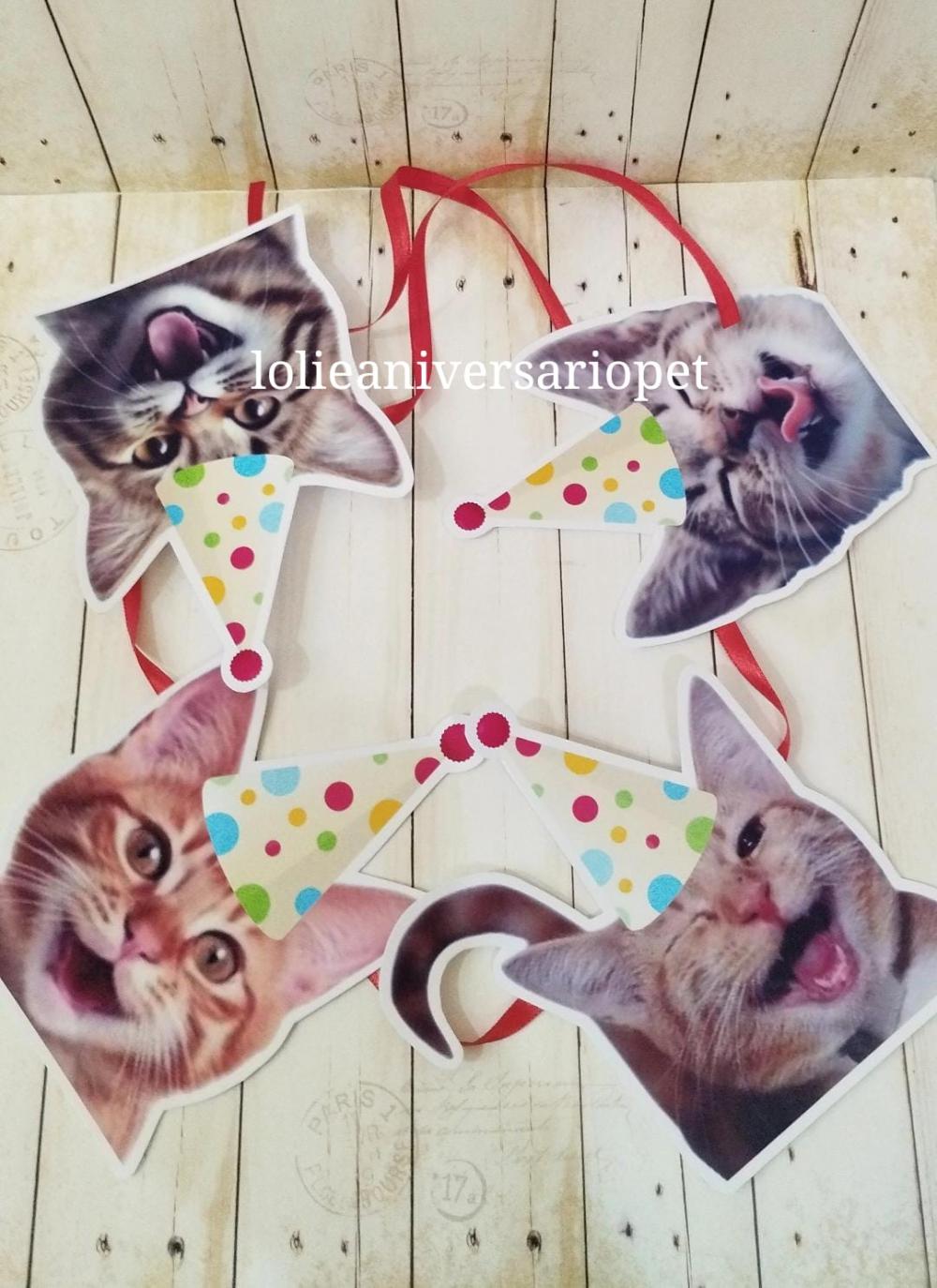 Kit Bandeirola com Foto, Topper e Display com Foto Gato