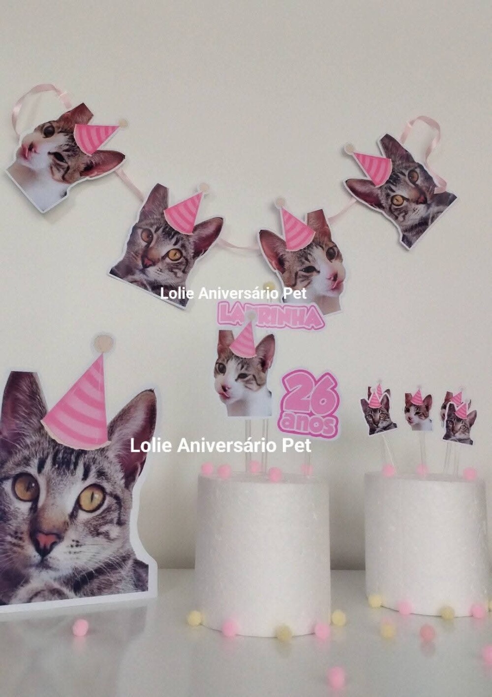 Kit Bandeirola com Foto, Topper e Display com Foto Gato