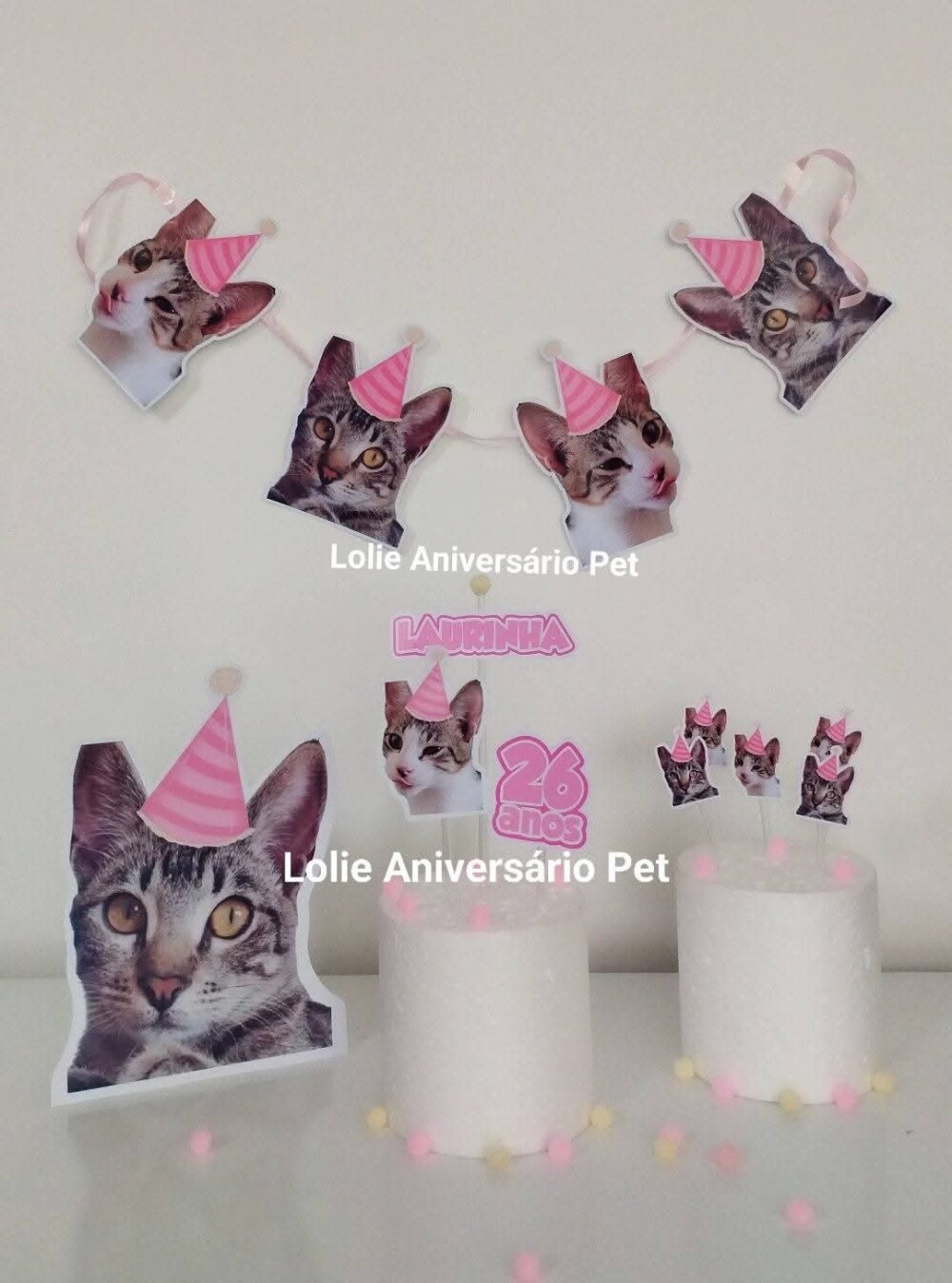 Kit Bandeirola com Foto, Topper e Display com Foto Gato