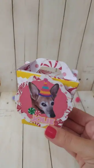 Caixa Maletinha Aniversário Cachorro Tesouro da Mamãe