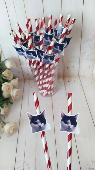 Canudo com Foto Pet Gato