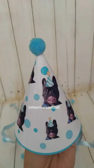 Chapeuzinho Aniversário Cachorro com Foto