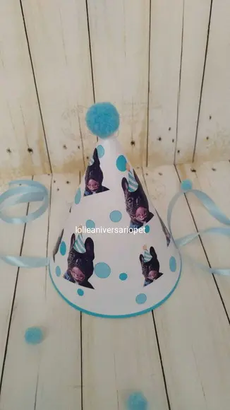 Chapeuzinho Aniversário Cachorro com Foto