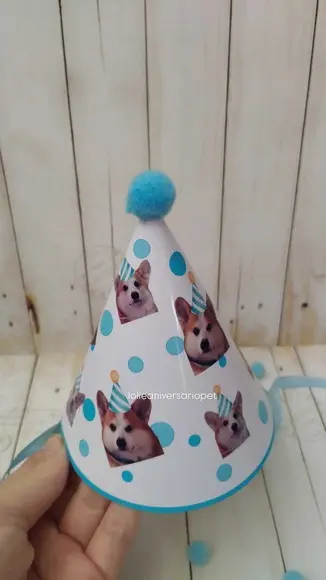 Chapeuzinho Aniversário Cachorro com Foto