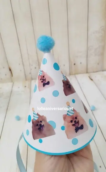 Chapeuzinho Aniversário Cachorro com Foto