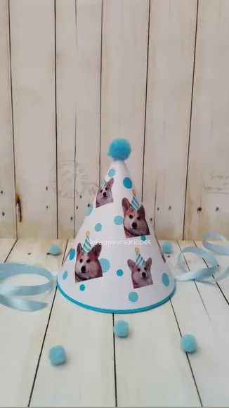 Chapeuzinho Aniversário Cachorro com Foto