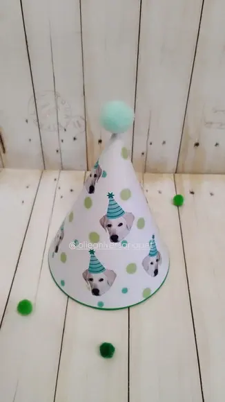 Chapeuzinho Aniversário Cachorro com Foto Labrador