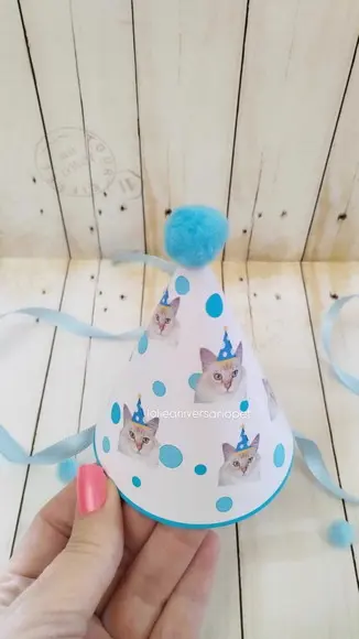 Chapeuzinho Aniversário Gato com Foto