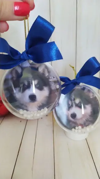 Esfera Bolinha de Natal com Foto Pet Cachorro