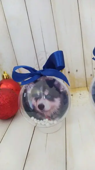 Esfera Bolinha de Natal com Foto Pet Cachorro