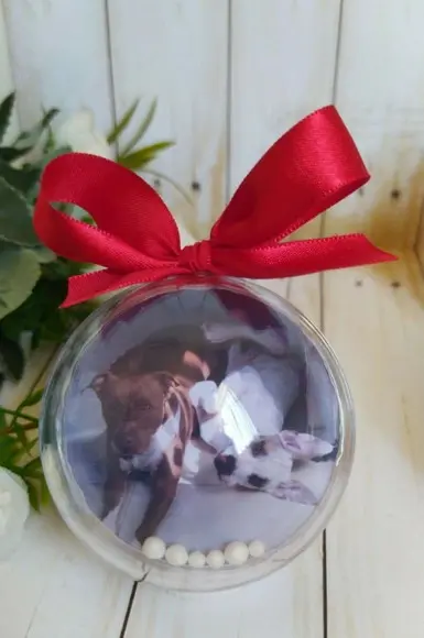 Esfera Bolinha de Natal com Foto Pet Cachorro