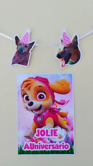 Kit Bandeirola com Foto, Chapeuzinho Pet e Impresso