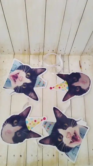 Kit Bandeirola com Foto e Chapeuzinho Gato