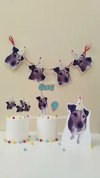 Kit Bandeirola com Foto, Topper e Display com Foto Cachorro