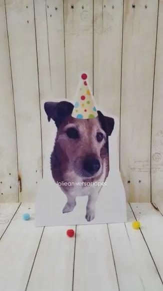 Kit Bandeirola com Foto, Topper e Display com Foto Cachorro
