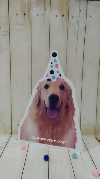 Kit Bandeirola com Foto, Topper e Display com Foto Cachorro