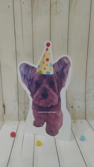 Kit Bandeirola com Foto, Topper e Display com Foto Cachorro