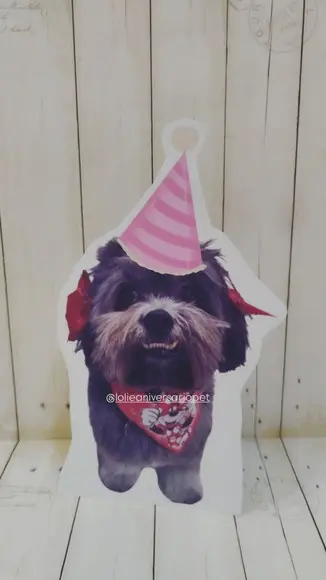 Kit Bandeirola com Foto, Topper e Display com Foto Cachorro