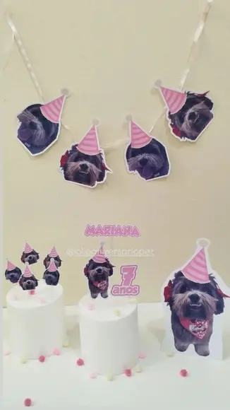 Kit Bandeirola com Foto, Topper e Display com Foto Cachorro