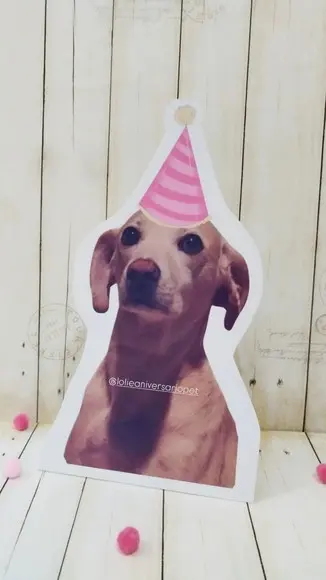 Kit Bandeirola com Foto, Topper e Display com Foto Cachorro