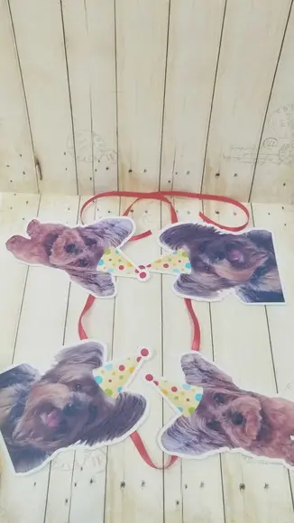 Kit Bandeirola com Foto, Topper e Display com Foto Cachorro