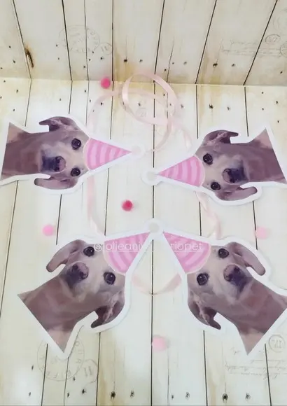 Kit Bandeirola com Foto, Topper e Display com Foto Cachorro