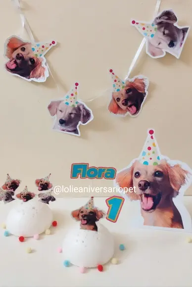 Kit Bandeirola com Foto, Topper e Display com Foto Flora