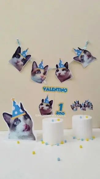 Kit Bandeirola com Foto, Topper e Display com Foto Gato
