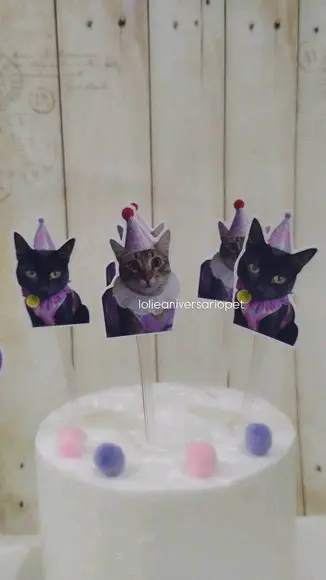 Kit Bandeirola com Foto, Topper e Display com Foto Gato
