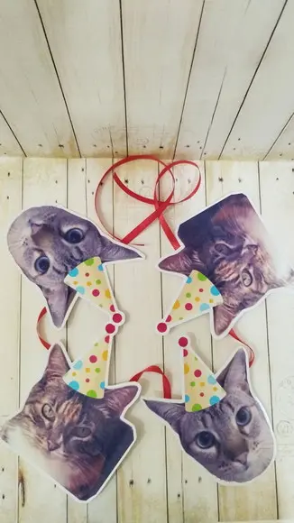 Kit Bandeirola com Foto, Topper e Display com Foto Gato