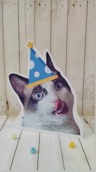 Kit Bandeirola com Foto, Topper e Display com Foto Gato