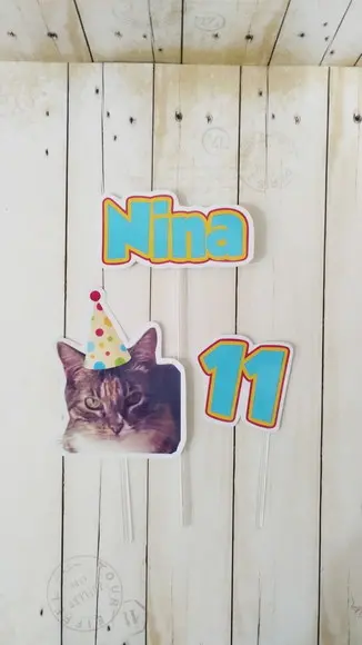 Kit Bandeirola com Foto, Topper e Display com Foto Gato