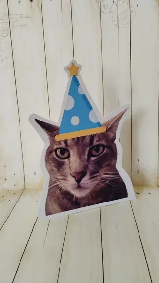 Kit Bandeirola com Foto, Topper e Display com Foto Gato