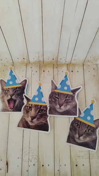 Kit Bandeirola com Foto, Topper e Display com Foto Gato