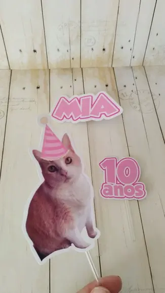 Kit Bandeirola com Foto, Topper e Display com Foto Gato