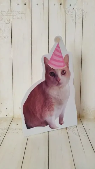 Kit Bandeirola com Foto, Topper e Display com Foto Gato
