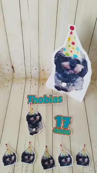 Kit Bandeirola com Foto, Topper e Display com Foto Thobias