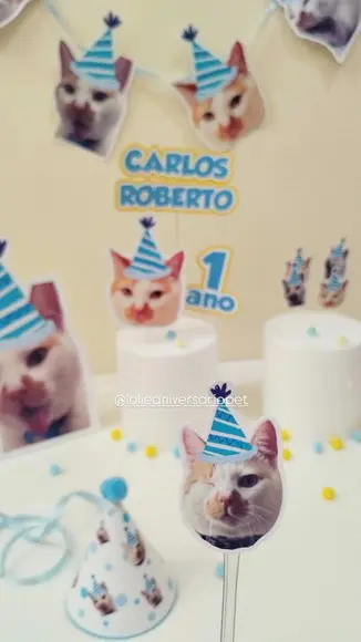 Kit Bandeirola com Foto, Topper, Display e Chapéu Gato