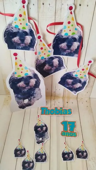 Kit Bandeirola com Foto, Topper e Display com Foto Thobias