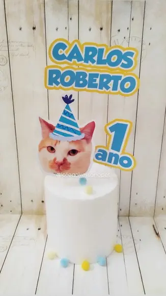 Kit Bandeirola com Foto, Topper, Display e Chapéu Gato