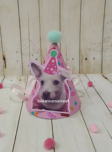 Kit Bandeirola, Topper e Chapeuzinho Aniversário Cachorro