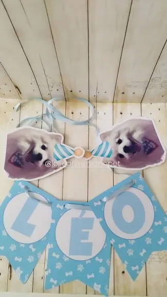 Kit Bandeirola, Topper e Chapeuzinho Aniversário Cachorro