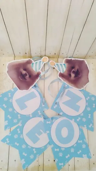 Kit Bandeirola, Topper e Chapeuzinho Aniversário Cachorro