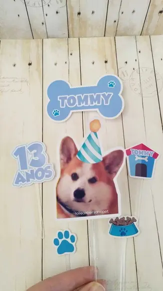 Kit Bandeirola, Topper e Chapeuzinho Aniversário Cachorro